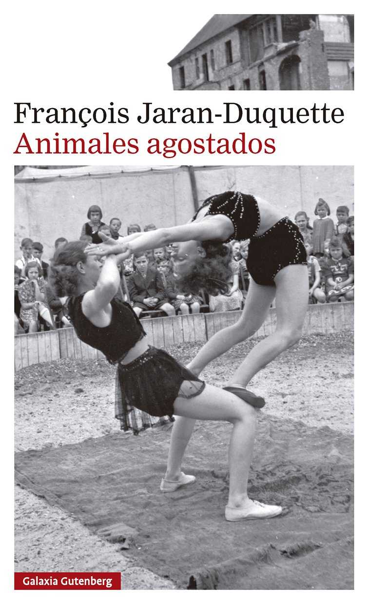 Image not found